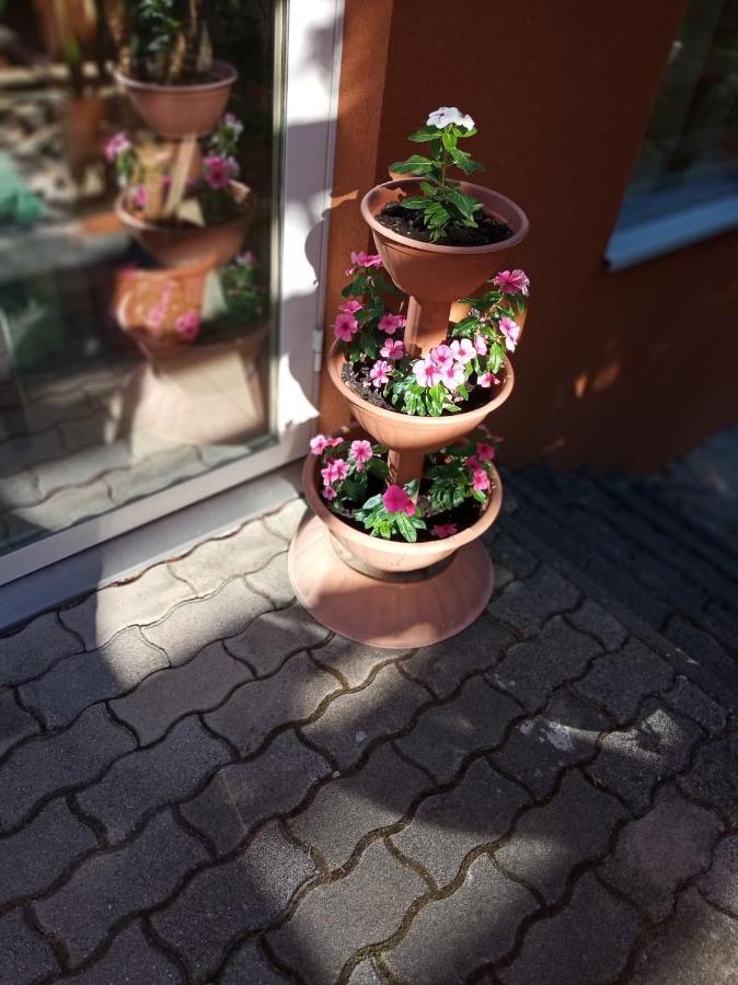 Hotel Pergola Panzió Balatonföldvár Exterior foto